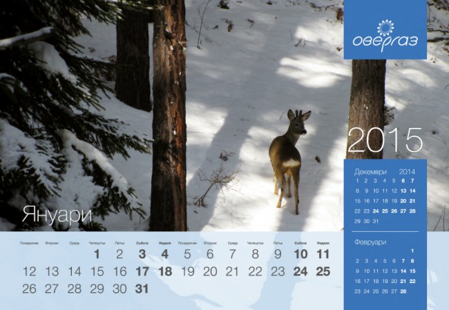 Overgas kalendar 2015_january
